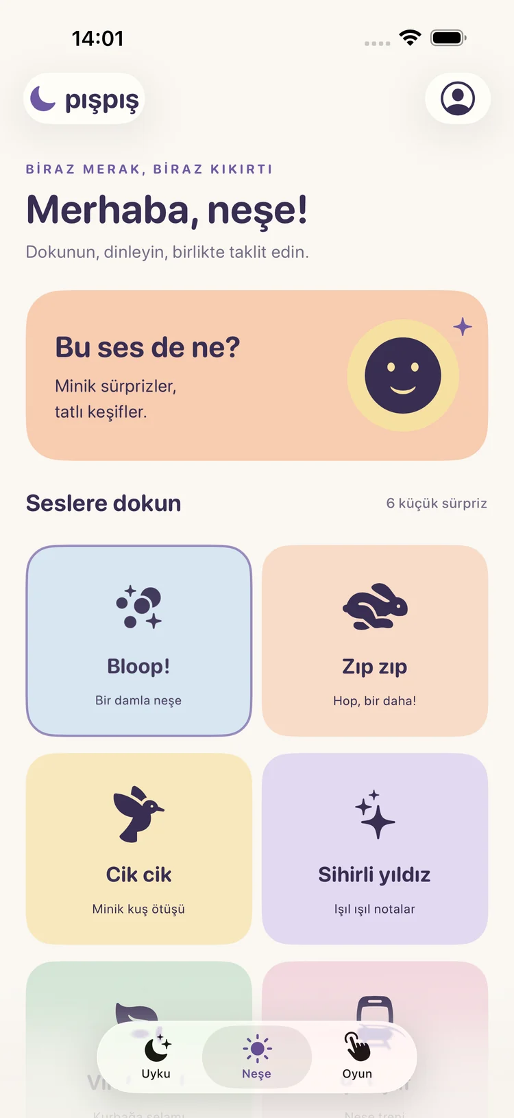PışPış — Mobil ekran 02